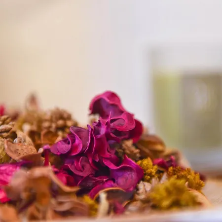 Royal Garden & Gastronomy * Budva